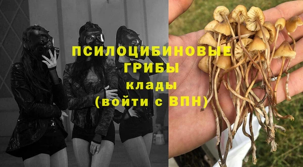 прущие грибы Бугульма